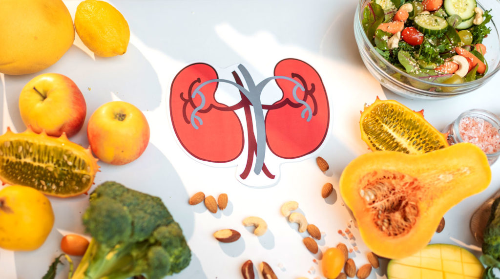 healthy kidneys illustration on a table with fruits and vegetables