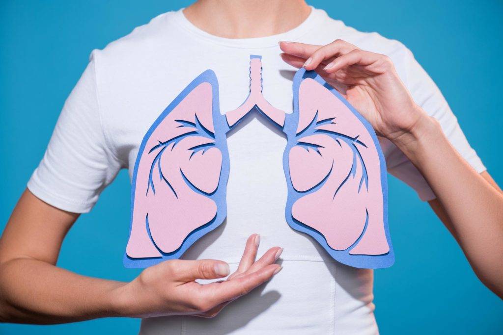 person holding papercraft lungs