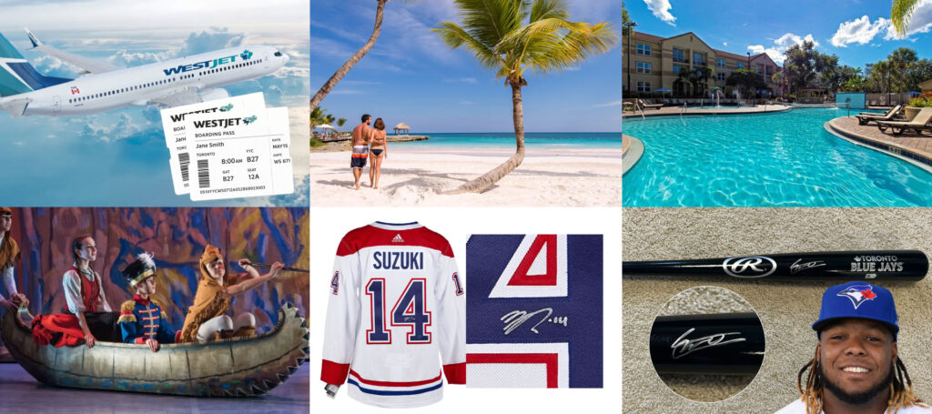 charity auctions to donate ontario canada toronto