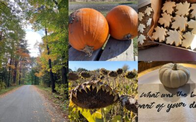 Fall into Wellness with Seasonal Tips from our Charity Partners